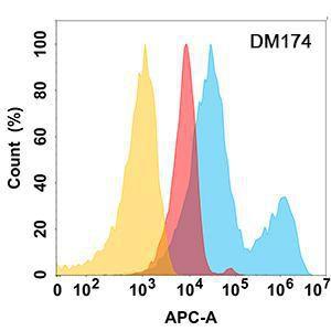 Anti-ROR2 antibody