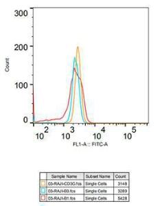 Anti-CD3G Rabbit Monoclonal Antibody [clone: ARC2105]