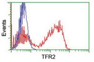 Anti-TFR2 Mouse Monoclonal Antibody [clone: OTI2B4]