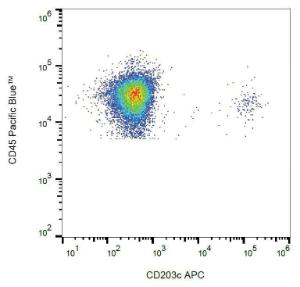 Anti-CD203c Mouse Monoclonal Antibody [Clone: NP4D6] (APC (Allophycocyanin))