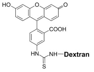 Fitc-dextran conj µga 21702 25 mg