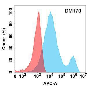 Flow cytometry analysis with Anti-LIGHT / TNFSF14 Antibody [DM170] - Azide free (A318539) on Expi293 cells transfected with human LIGHT (blue histogram) or Expi293 transfected with irrelevant protein (red histogram)