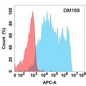 Flow cytometry analysis with Anti-PD-L2 Antibody [DM169] - Azide free (A318540) on Expi293 cells transfected with human PDL2 (blue histogram) or Expi293 transfected with irrelevant protein (red histogram)