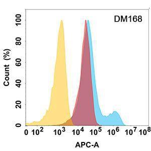 MICB protein is highly expressed on the surface of Expi293 cell membrane