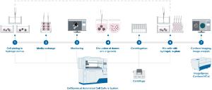 CellXpress.ai Automated cell culture system workflow