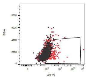 Surface staining of DR3 on DR3-transfected and non-transfected Hek293 cells using Anti-DR3 Antibody (A86544)