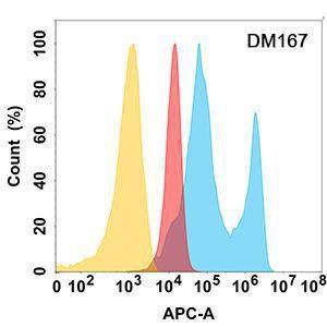 EPHA2 protein is highly expressed on the surface of Expi293 cell membran