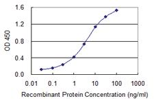 Anti-TGOLN2 Mouse Monoclonal Antibody [clone: 2F11]