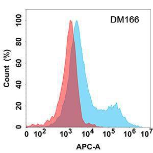 Flow cytometry analysis with Anti-CD37 Antibody [DM166] - Azide free (A318543) on Expi293 cells transfected with human CD37 (blue histogram) or Expi293 transfected with irrelevant protein (red histogram)