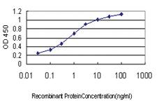 Anti-TMPRSS15 Mouse Monoclonal Antibody [clone: 3F8]