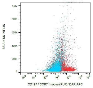 Surface staining of murine splenocytes with Anti-CD197 Antibody (A86562)