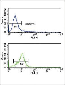 Anti-CRHR2 Rabbit Polyclonal Antibody (AP (Alkaline Phosphatase))