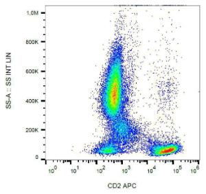 Surface staining of human peripheral blood cells with Anti-CD2 Antibody (A86564)