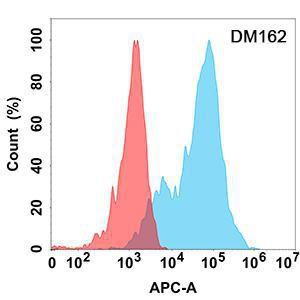 Antibody A318546-500