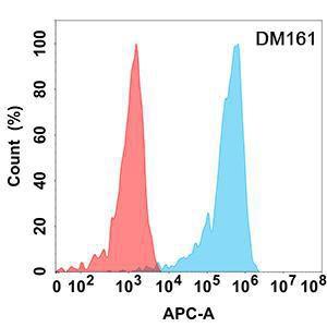 Flow cytometry analysis with Anti-CD5 Antibody [DM161] - Azide free (A318547) on Expi293 cells transfected with human CD5 (blue histogram) or Expi293 transfected with irrelevant protein (red histogram)