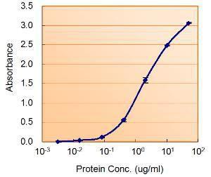 Anti-ALDH2 Goat Polyclonal Antibody