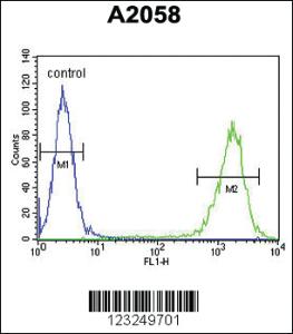 Anti-Sgk223 Rabbit Polyclonal Antibody