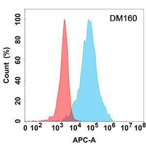 Anti-LAG-3 Rabbit Recombinant Antibody [clone: DM160]