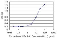 Anti-DEPTOR Antibody Pair