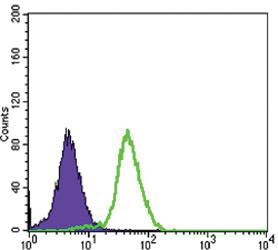 Anti-CD276 Mouse Monoclonal Antibody [clone: 6A1]