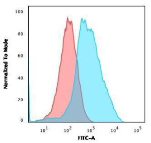 Flow cytometric analysis of PFA fixed MCF-7 cells using Anti-Ubiquitin Antibody [UBB/1748] followed by Goat Anti-Mouse IgG (CF&#174; 488) (Blue). Isotype Control (Red).