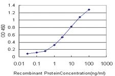 Anti-TNNT3 Mouse Monoclonal Antibody [clone: 1F12]