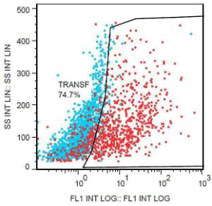 Anti-DDIT4L Mouse Monoclonal Antibody [Clone: DDIT-03] (PE (Phycoerythrin))