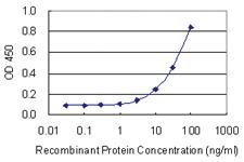 Anti-DACT1 Mouse Monoclonal Antibody [clone: 5D8]