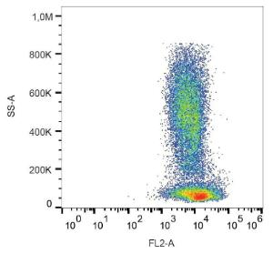 Surface staining of human peripheral blood leukocytes with Anti-CD184 Antibody (A86616)