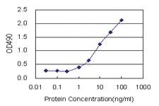 Anti-TICAM2 Polyclonal Antibody Pair