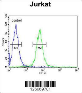 Anti-HVCN1 Rabbit Polyclonal Antibody (AP (Alkaline Phosphatase))