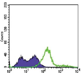 Anti-CD3E Mouse Monoclonal Antibody [clone: 4E2]