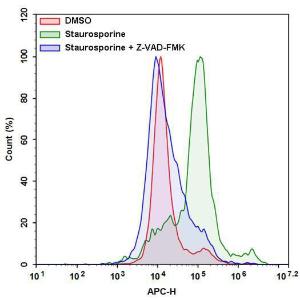 Cell meter/trade li 20116