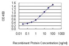 Anti-RGCC Mouse Monoclonal Antibody [clone: 3B9]