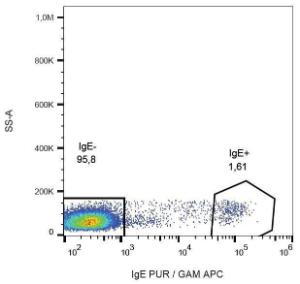 Surface staining of IgE in human peripheral blood lymphocytes with Anti-IgE Antibody (A86636)