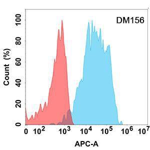 Flow cytometry analysis with Anti-CD200 / OX2 Antibody [DM156] - Azide free (A318552) on Expi293 cells transfected with human CD200 (blue histogram) or Expi293 transfected with irrelevant protein (red histogram)