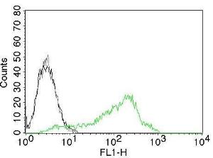 Flow cytometric analysis of 293T cells labeling Human Nucleolin Antigen with Anti-Nucleolin Antibody [NCL/902] (AF488) (Green). Cells alone (Black). Isotype Control (Grey)