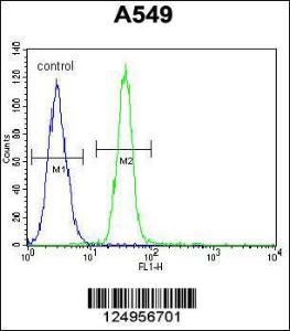 Anti-TDRD7 Rabbit Polyclonal Antibody (AP (Alkaline Phosphatase))