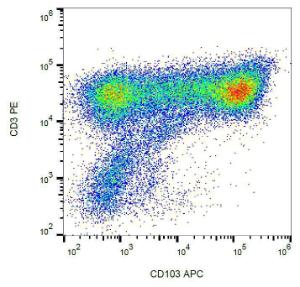 Antibody anti-HLA B7 BB71 PE