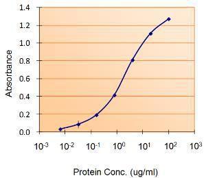 Anti-LTF Antibody (A84604) (5 µg/ml) as the reporter with the capture rabbit antibody (5 µg/ml)