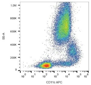 Surface staining of human peripheral blood cells with Anti-CD11c Antibody (A86670)