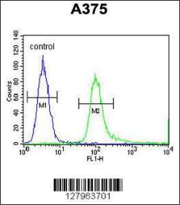 Anti-SPDYE3 Rabbit Polyclonal Antibody (FITC (Fluorescein Isothiocyanate))