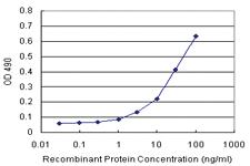 Anti-GSTK1 Polyclonal Antibody Pair