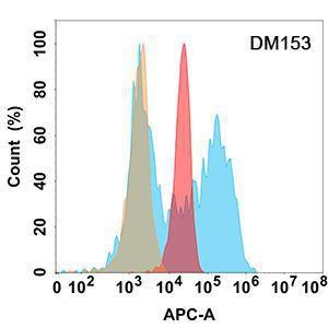 Antibody A318555-500