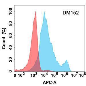 Flow cytometry analysis with Anti-IL-6R Antibody [DM152] - Azide free (A318556) on Expi293 cells transfected with human IL-6R (blue histogram) or Expi293 transfected with irrelevant protein (red histogram)