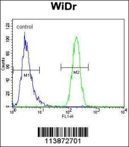 Anti-TFCP2L1 Rabbit Polyclonal Antibody (AP (Alkaline Phosphatase))