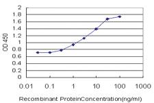 Anti-ARHGEF11 Mouse Monoclonal Antibody [clone: 2F4]