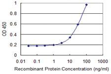 Anti-FZR1 Mouse Monoclonal Antibody [clone: 4C4]