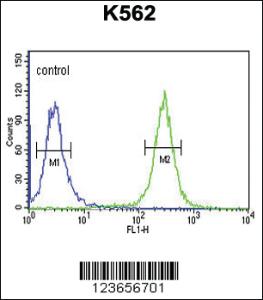 Anti-ACSM1 Rabbit Polyclonal Antibody