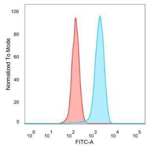 Flow cytometric analysis of PFA fixed HeLa cells using Anti-EIF2S1 Antibody [PCRP-EIF2S1-1E2] followed by Goat Anti-Mouse IgG (CF&#174; 488) (Blue). Isotype Control (Red)